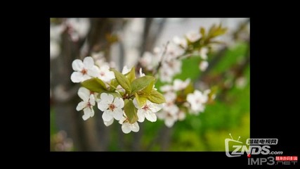 芒果月光寶盒開博爾H10評(píng)測(cè):配最新秋香系統(tǒng)